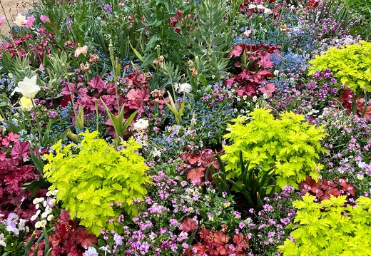 23-05-16 11-54-13 5393